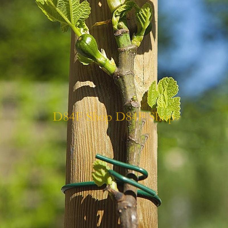 Garden Wire Twist Tie - D84F 2.5mmx10m Yeşil Yumuşak Büküm Kravat