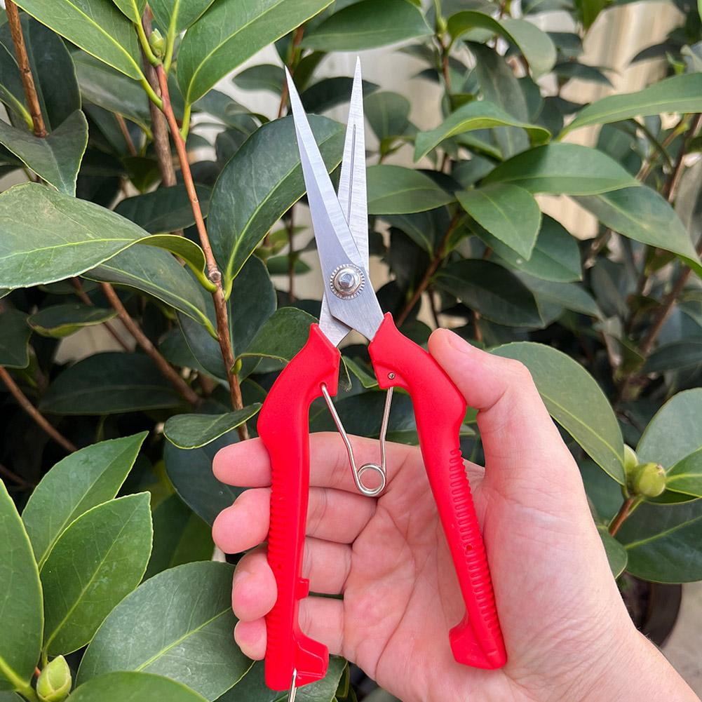 Essential Gardening Tools - Pro Garden Budama Makası Uzatılmış Ağaç
