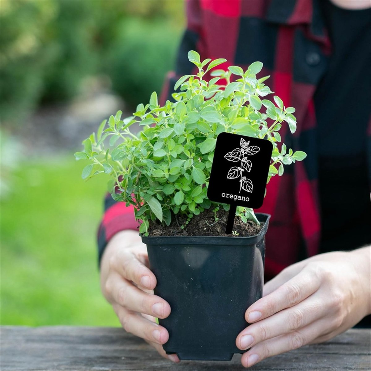 Gardening Tools With Names - AA14 24 Adet Akrilik Bitki Etiketleri