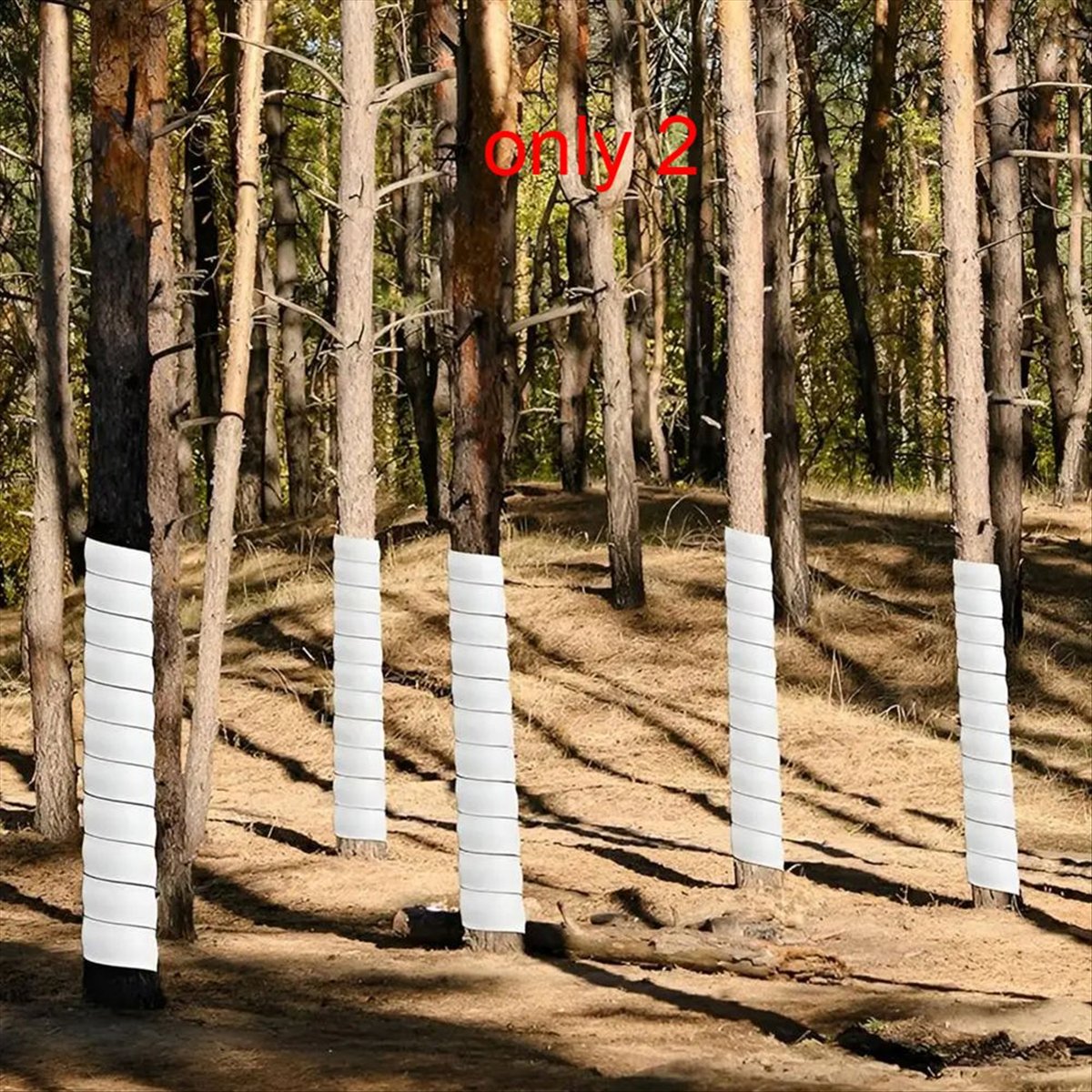 A75K Bitki Gövde Koruyucu Hava - Gardening Hand Tools B&Q incelemesi ve fiyatı