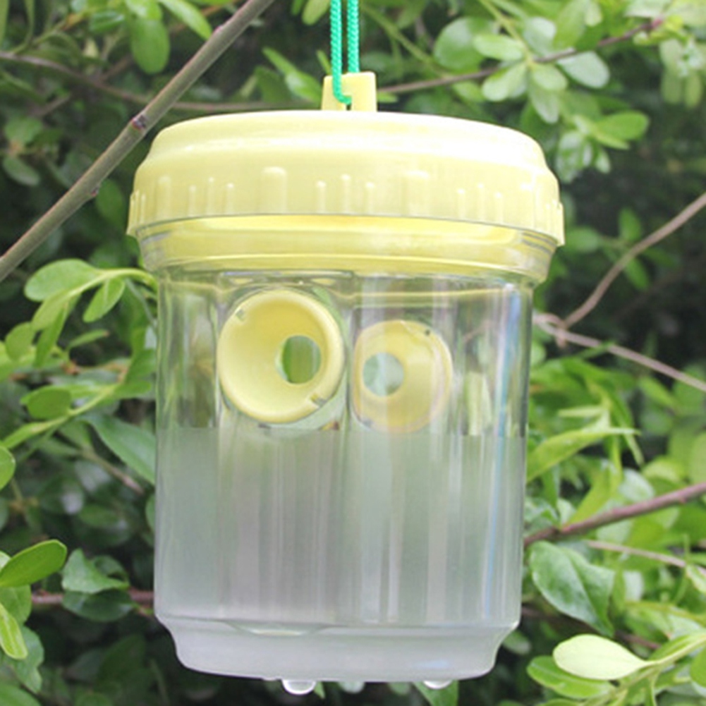 Hornet Tuzağı Asılı Hornet'ler - Gardening Tools In Store incelemesi ve fiyatı