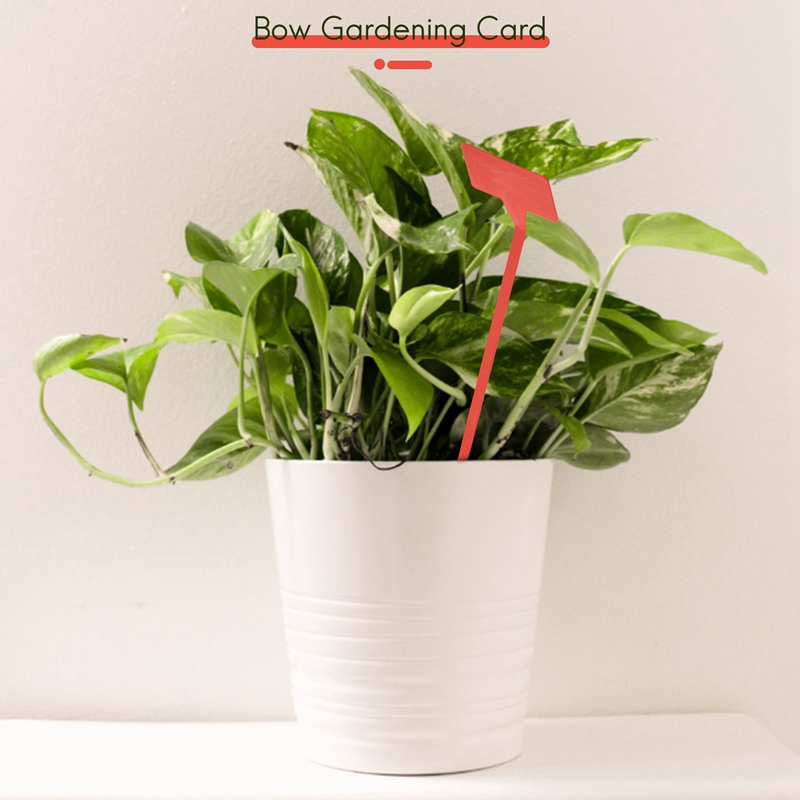ABYP Bahçeler Dikim Araçları 5 - Gardening Tools Types incelemesi ve fiyatı