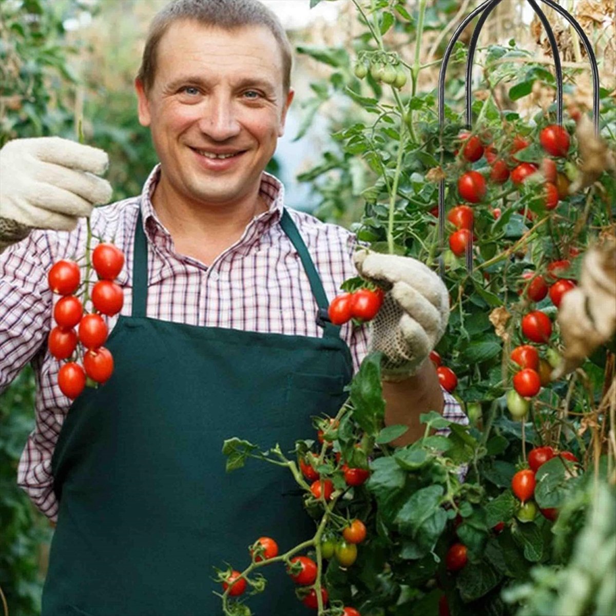 AT16 Tırmanıcı Bitki Dikme Çar - Gardening Hand Tools B&Q incelemesi ve fiyatı