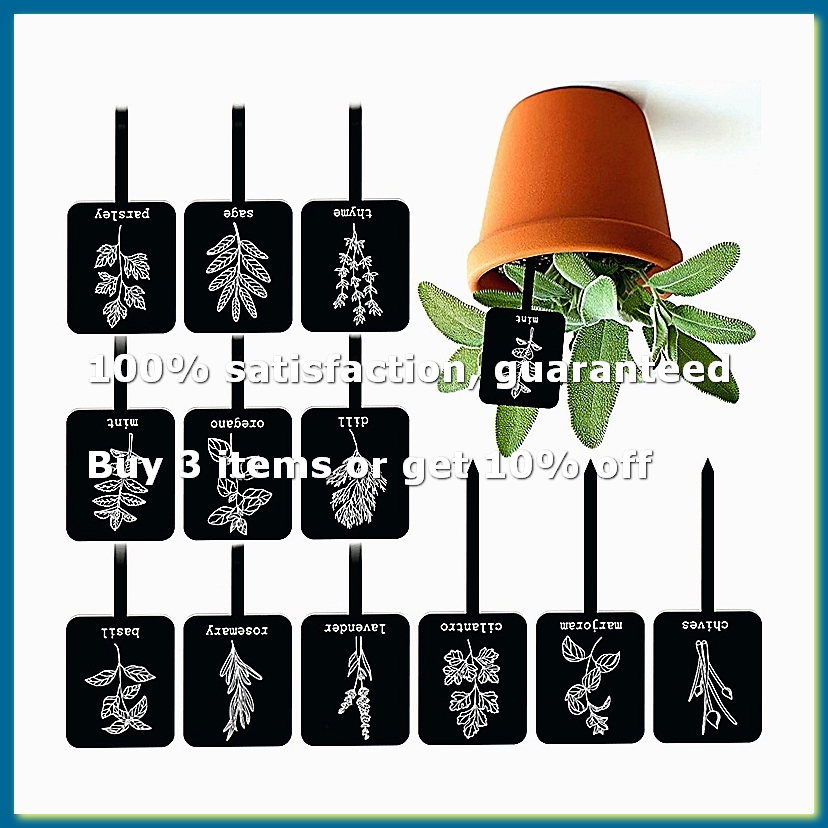24 Adet Akrilik Bitki Etiketle - Gardening Tools With Names incelemesi ve fiyatı