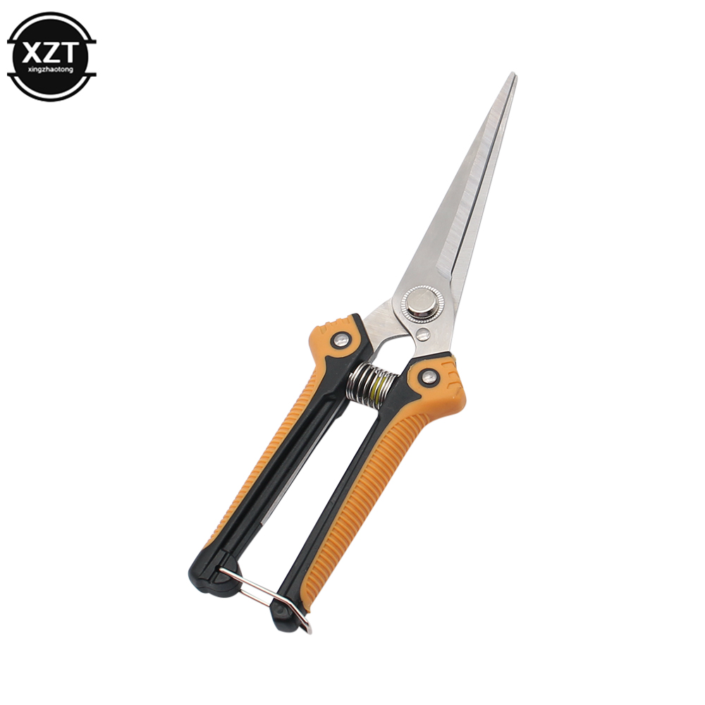 Budama makası profesyonel bahç - Gardening Tools Japanese incelemesi ve fiyatı