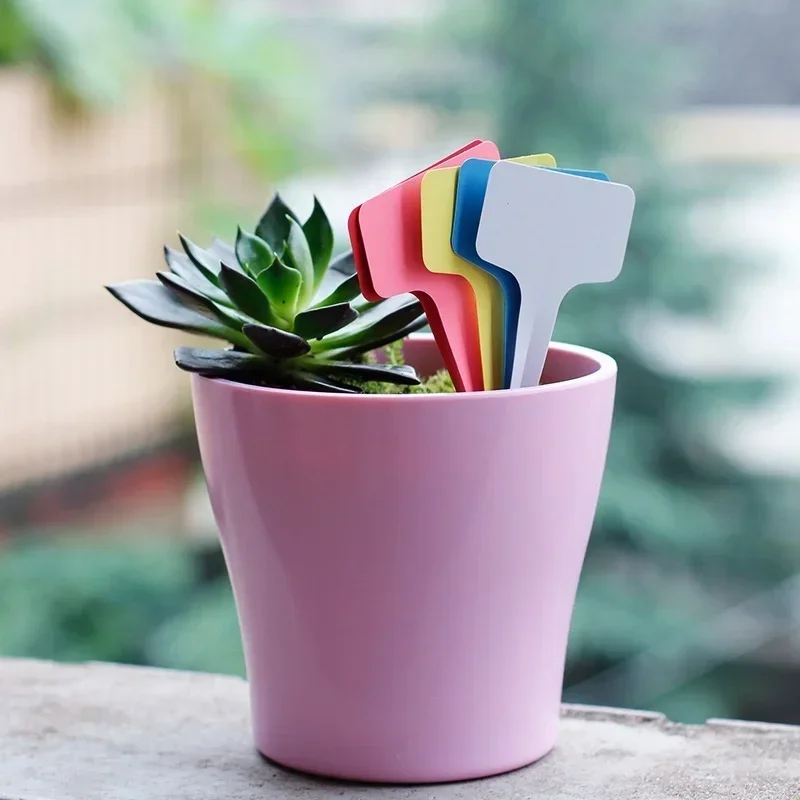 20 adet Plastik Su Geçirmez Bi - Gardening Tools With Names incelemesi ve fiyatı