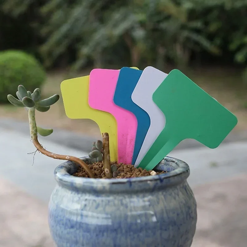 20 adet Plastik Su Geçirmez Bi - Gardening Tools With Names incelemesi ve fiyatı