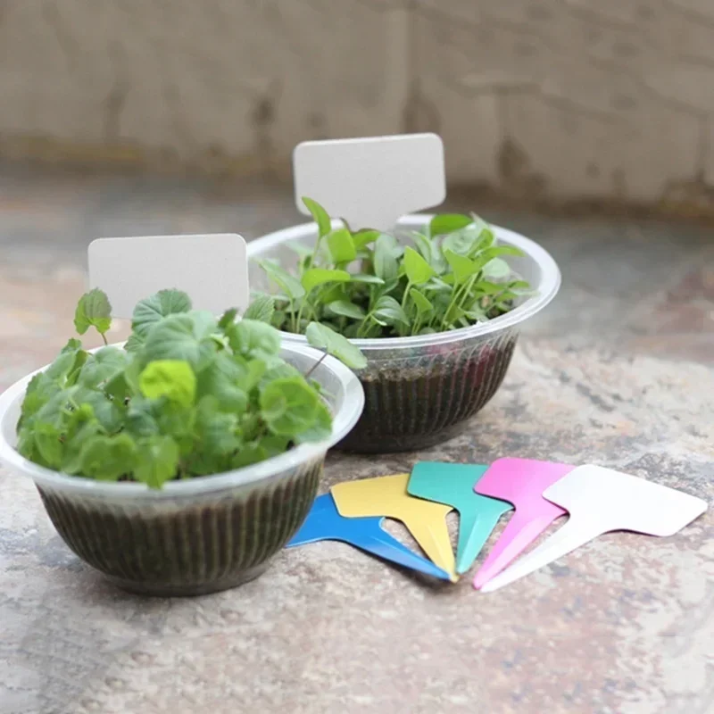 20 adet Plastik Su Geçirmez Bi - Gardening Tools With Names incelemesi ve fiyatı